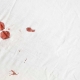 Limpiar manchas de sangre