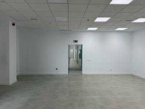 Oficina amplia con paredes interiores blancas tras un trabajo de pintura profesional.